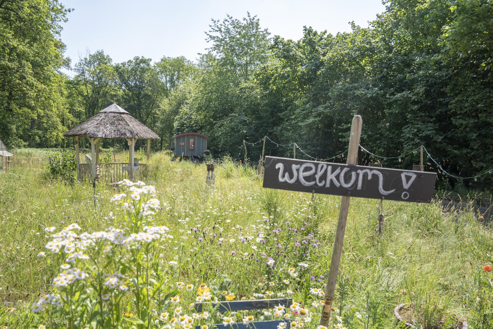 Foto van een bordje 'welkom' in een tuin met wilde bloemen van Gastgalerij Ankomm'n.