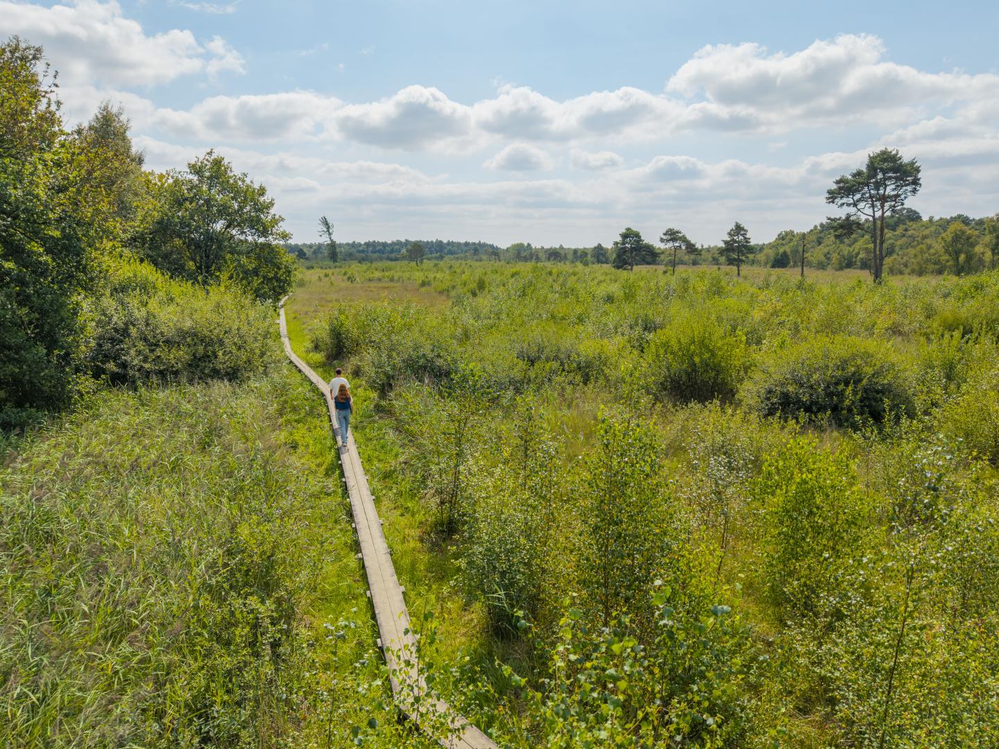 Een groene natuurlijke wilde omgeving met een wandelpad waar twee personen op wandelen