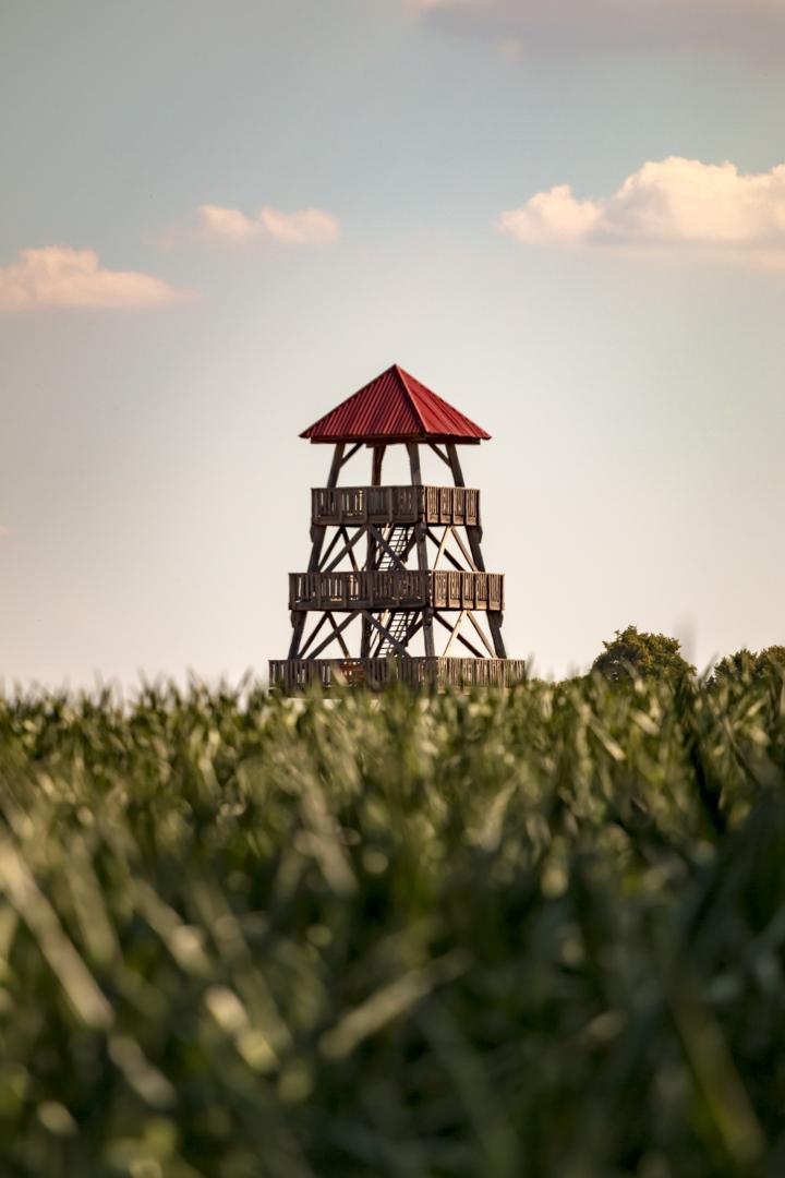 Houten uitkijktoren in de gemeente Berkelland, gezien boven een groen maisveld onder een rustige lucht met wolken.