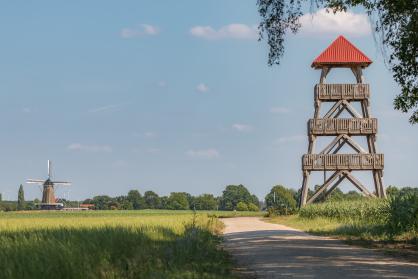 Houten uitkijktoren in de gemeente Berkelland, gezien boven een groen maisveld onder een rustige lucht met wolken.