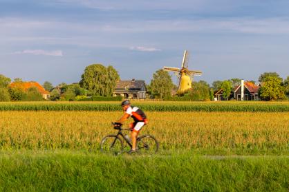 Fietsers fietst tussen weilanden en voor een molen in Rha