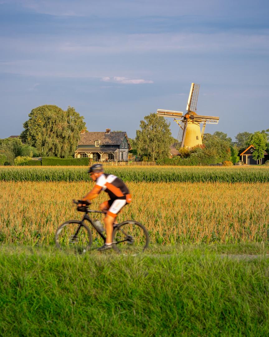Fietsers fietst tussen weilanden en voor een molen in Rha